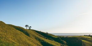 papamoa hills regional park