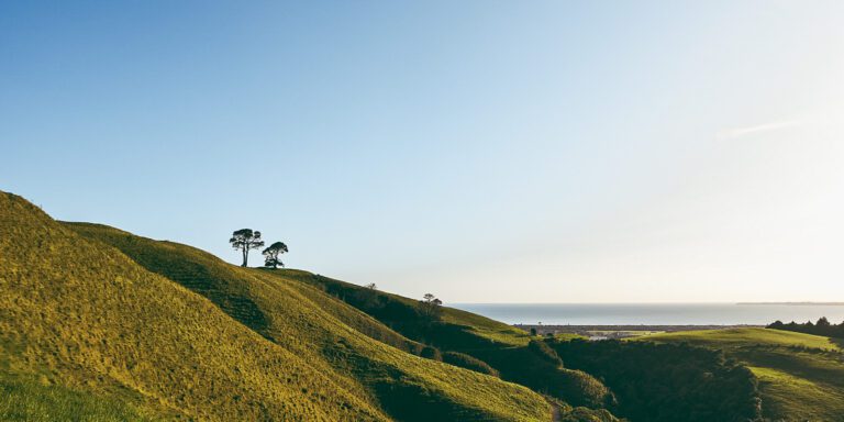 papamoa hills regional park