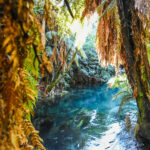 blue springs