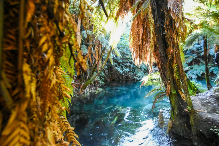 blue springs